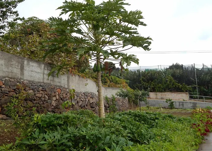 Madalena Vista Mar Cwifi 산타 크루즈