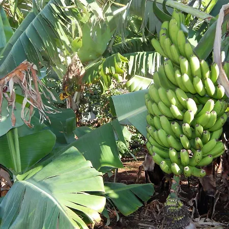 Madalena Vista Mar Cwifi סנטה קרוז