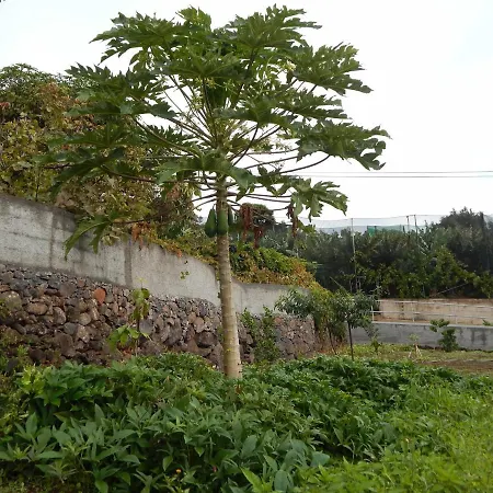 Madalena Vista Mar Cwifi Σάντα Κρουζ