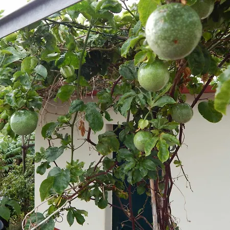 別荘 Madalena Vista Mar Cwifi *