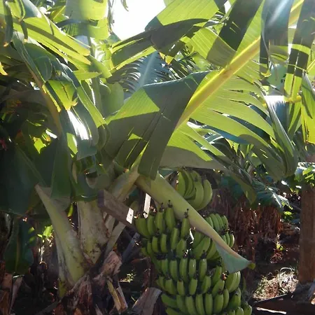 別荘 Madalena Vista Mar Cwifi