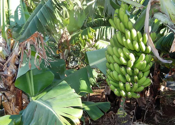Madalena Vista Mar Cwifi Σάντα Κρουζ