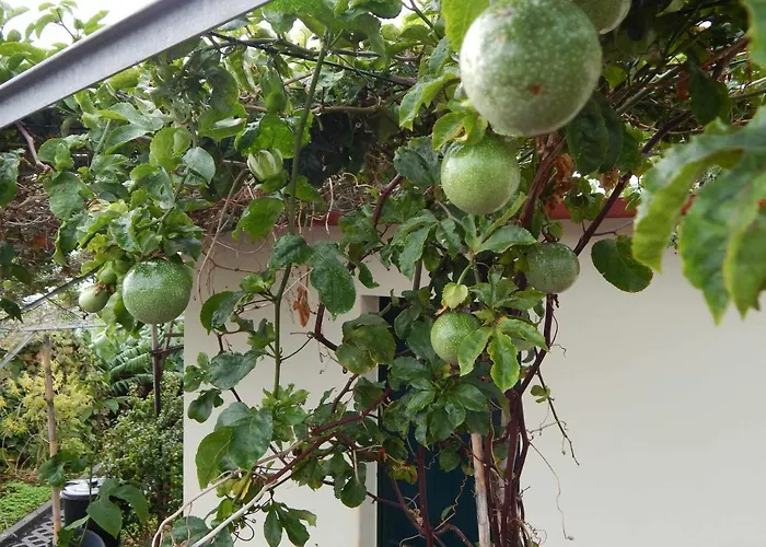 Σπίτι διακοπών Madalena Vista Mar Cwifi *