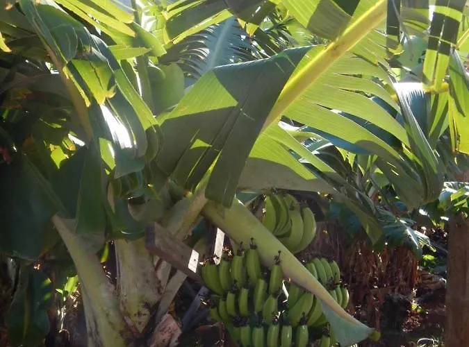 Σπίτι διακοπών Madalena Vista Mar Cwifi